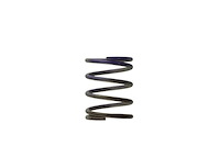 Wastegate Spring 7 psi (Brown/Purple Middle Spring)
