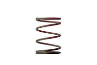 Wastegate Spring 7 psi (Brown/Pink Outer Spring)