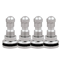 Chrome Valve Stem Bolt-in