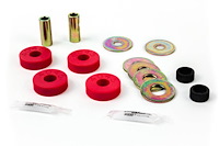 Cobra Differential Bushings 1999-2004 Mustang Cobra