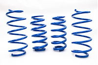 EXPLORER LOWERING SPRINGS