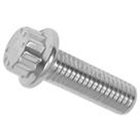 Sanden 12-Point Bolt