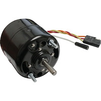 Blower Motor