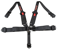 5-Point Seat Harness w/3 in. to 2 in. Pull Down Belts & Latch Lock System