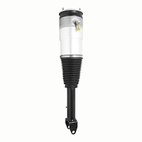 992-17-150000 Air Suspension Strut Assembly Fits Select Tesla S
