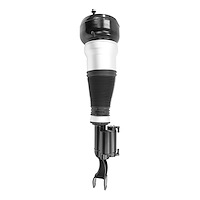 Electronic Air Strut Asse