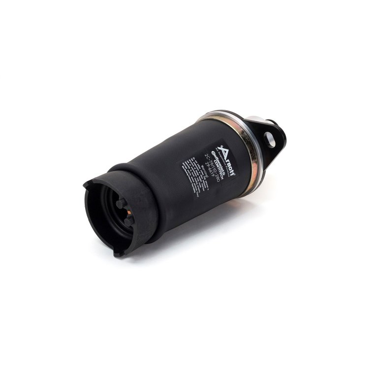 Rear Air Spring