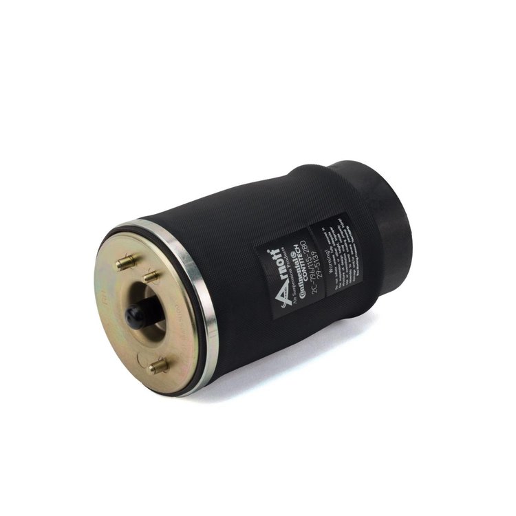 Rear Right Air Spring