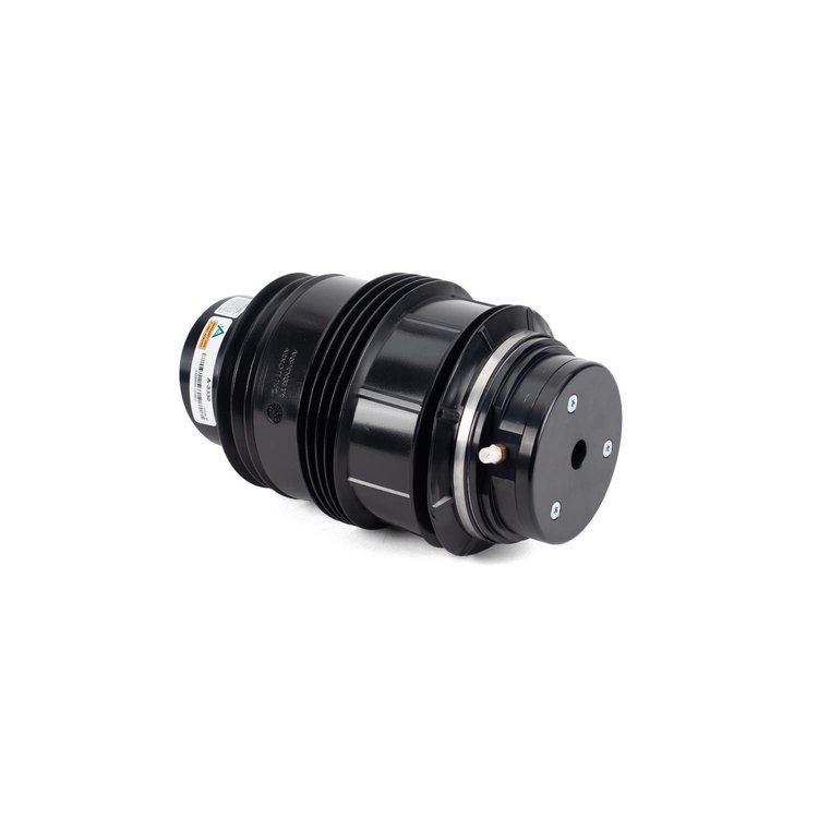 Rear Left Air Spring