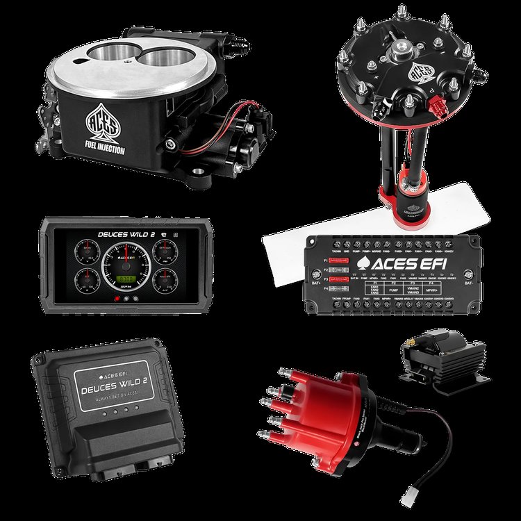 Complete Deuces Wild 2 EFI Conversion Kit for 2300-Flange Intake Manifolds [Black]