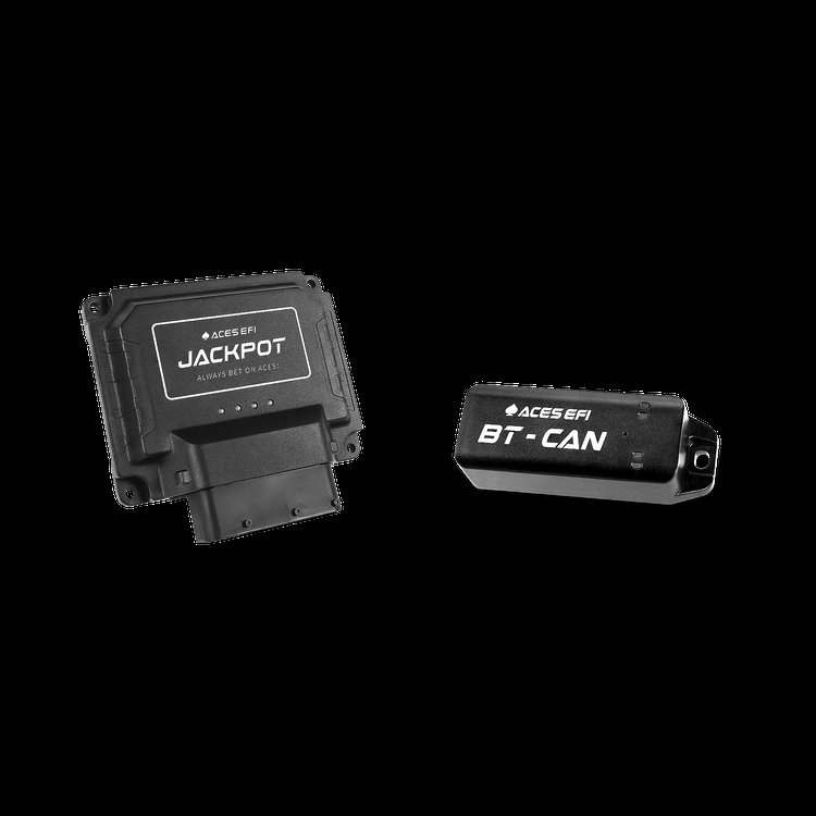 Standalone Engine Management System for GM LS Engines (Entry Level)