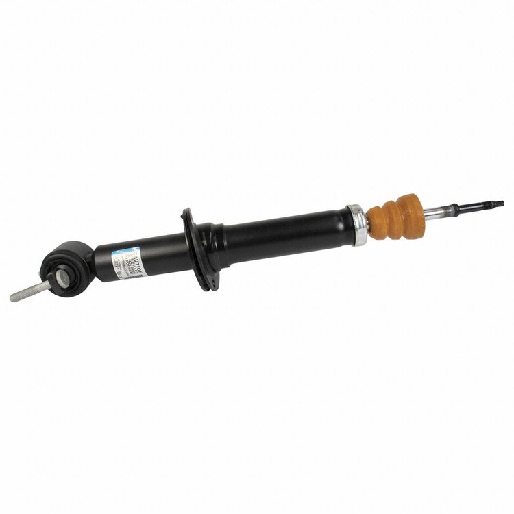 SHOCK ABSORBER ASY (P)