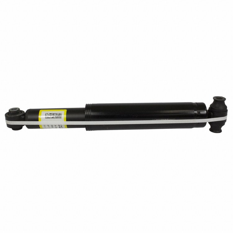 SHOCK ABSORBER ASY (P)