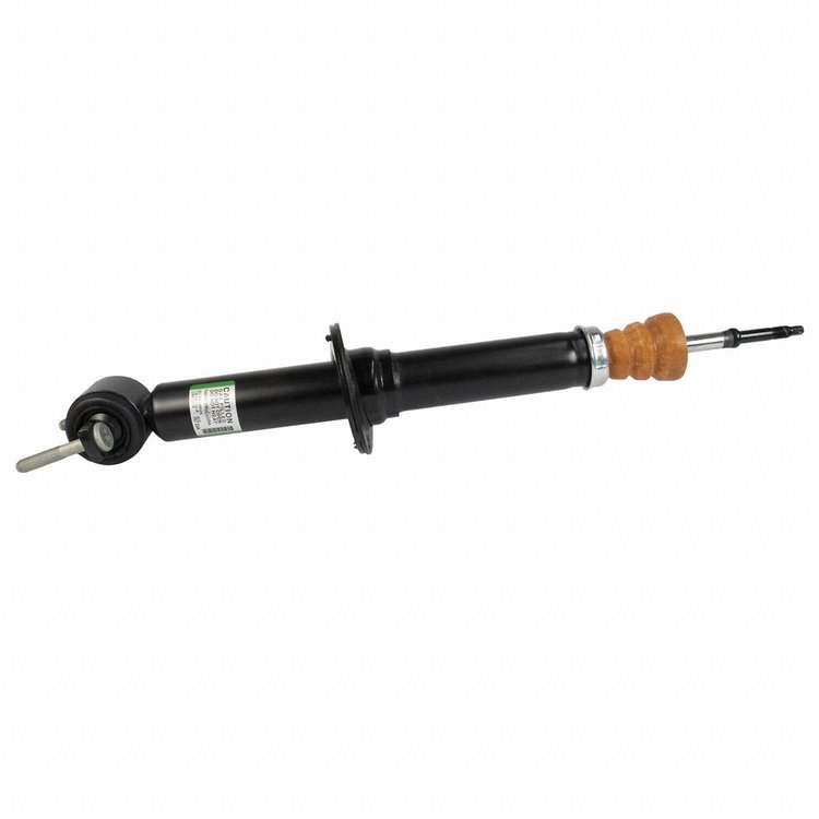 SHOCK ABSORBER ASY (P)