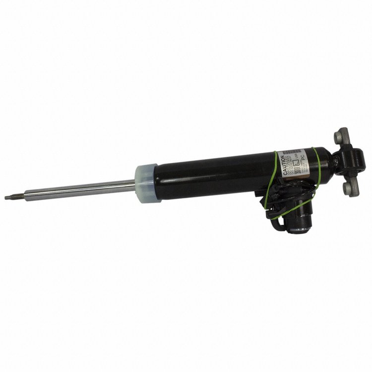 SHOCK ABSORBER ASY (P)
