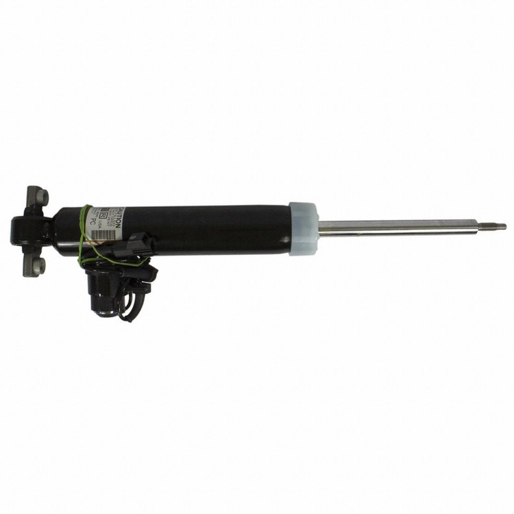 SHOCK ABSORBER ASY (P)