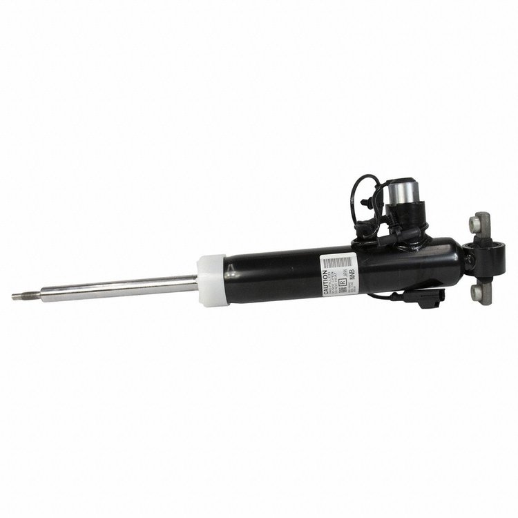 SHOCK ABSORBER ASY (P)