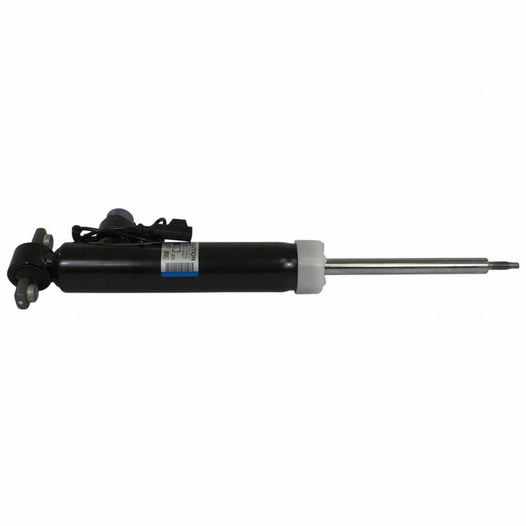 SHOCK ABSORBER ASY (P)