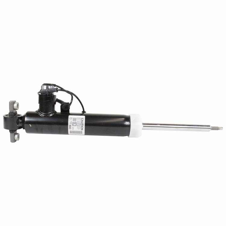 SHOCK ABSORBER ASY (P)
