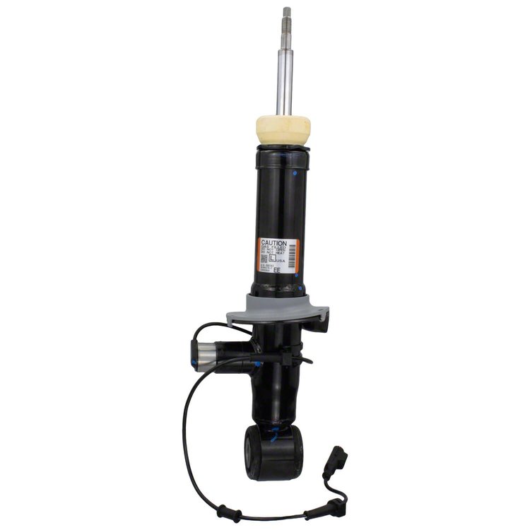 SHOCK ABSORBER ASY (P)