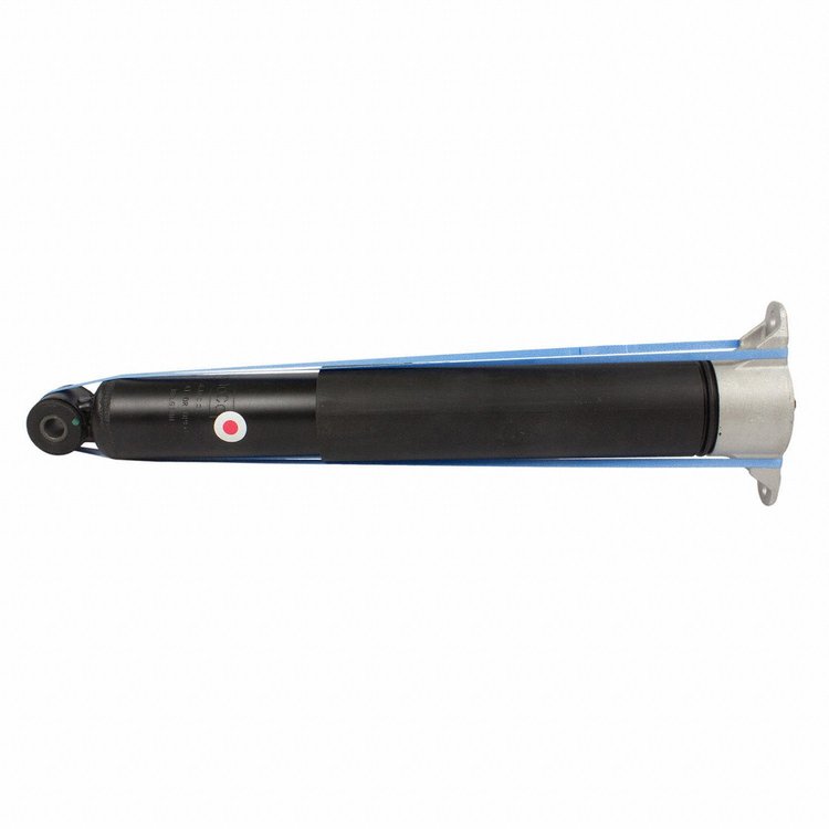 SHOCK ABSORBER ASY (P)