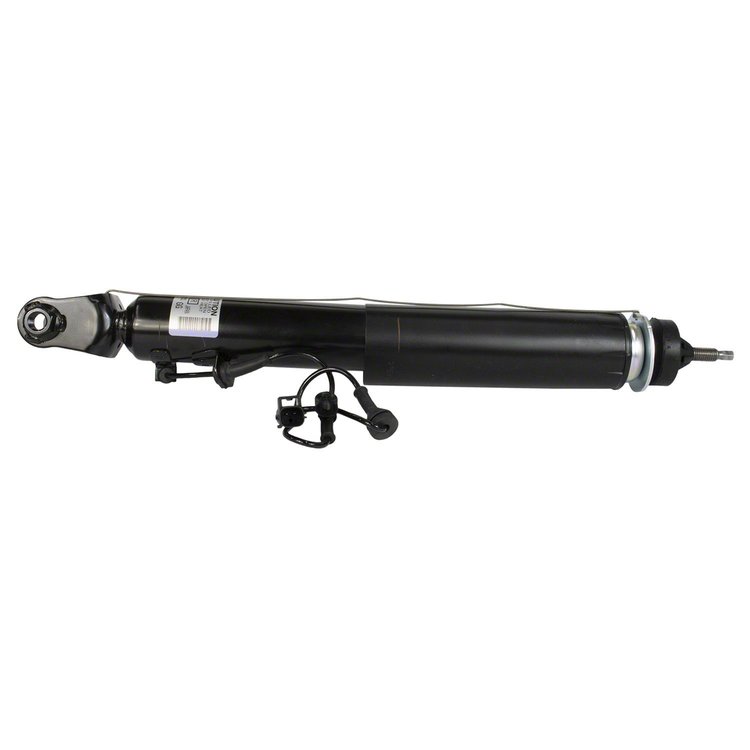 SHOCK ABSORBER ASY (P)