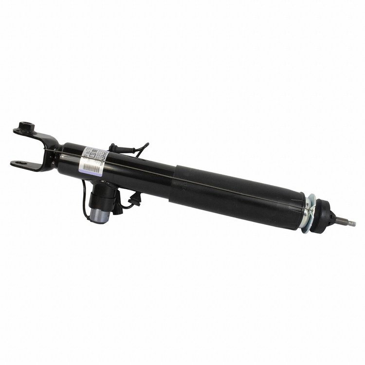 SHOCK ABSORBER ASY (P)