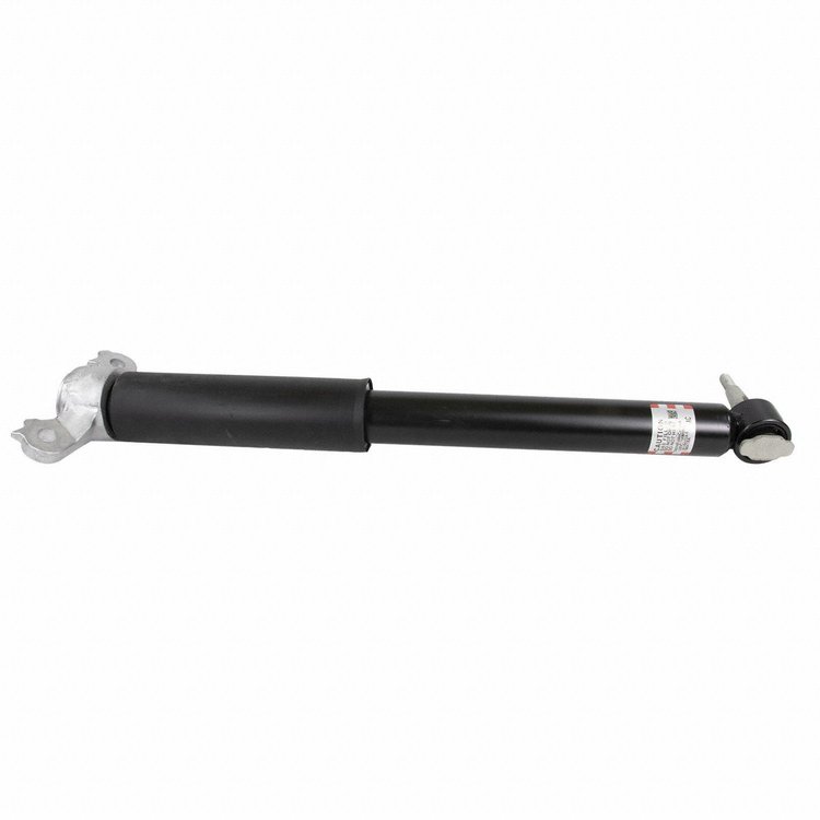 SHOCK ABSORBER ASY (P)