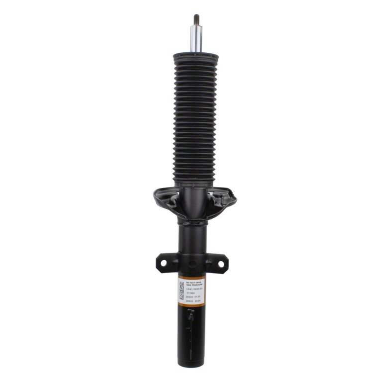 SHOCK ABSORBER ASY (P)