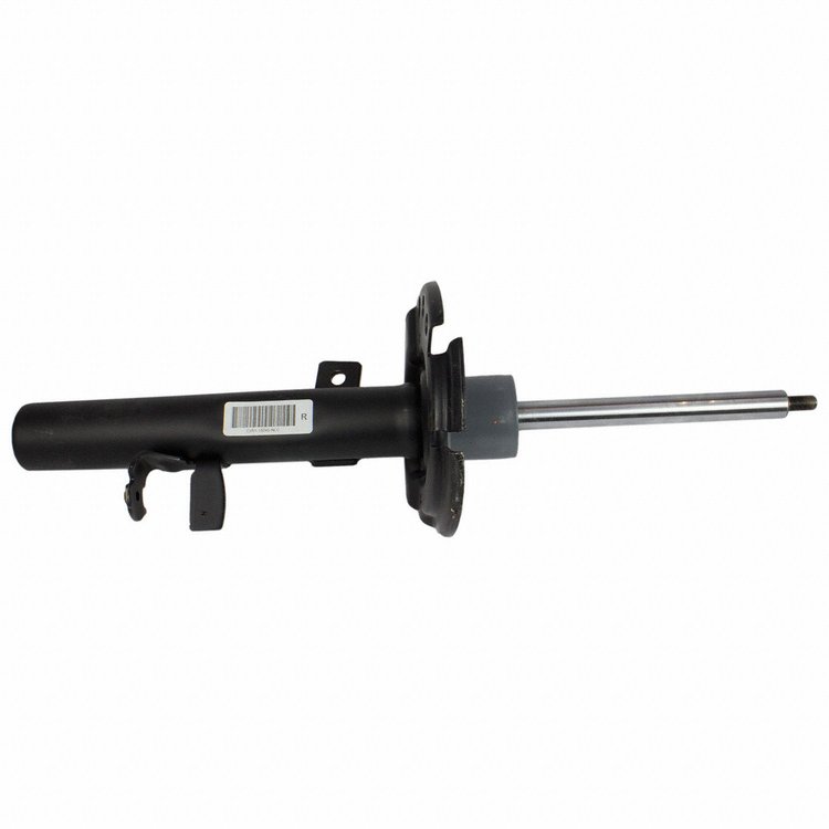 SHOCK ABSORBER ASY (P)