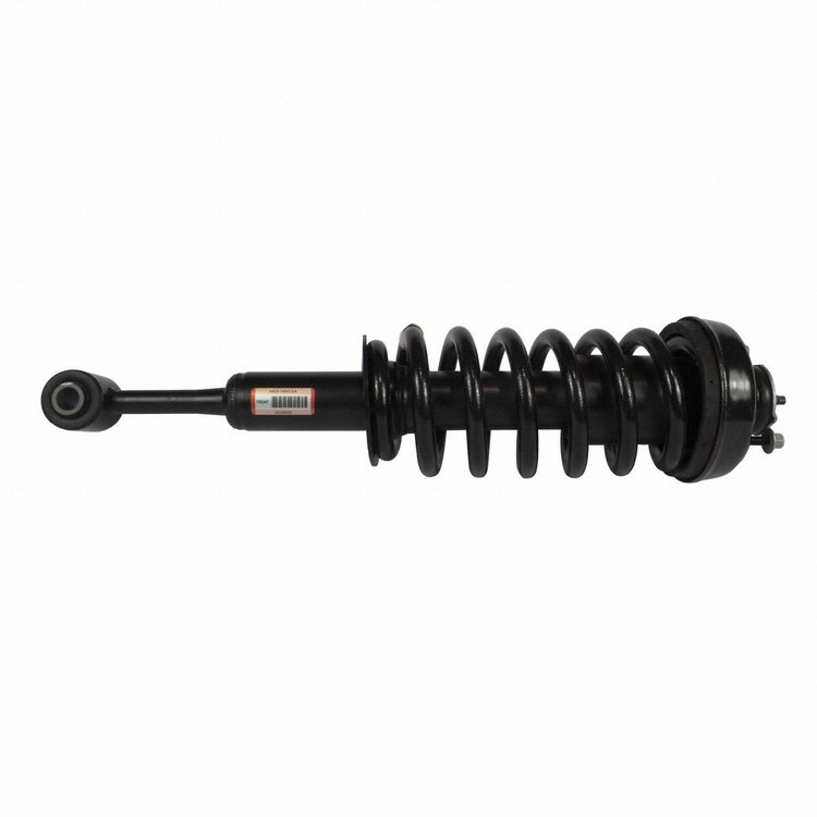 STRUT - LOADED ASSE (P)