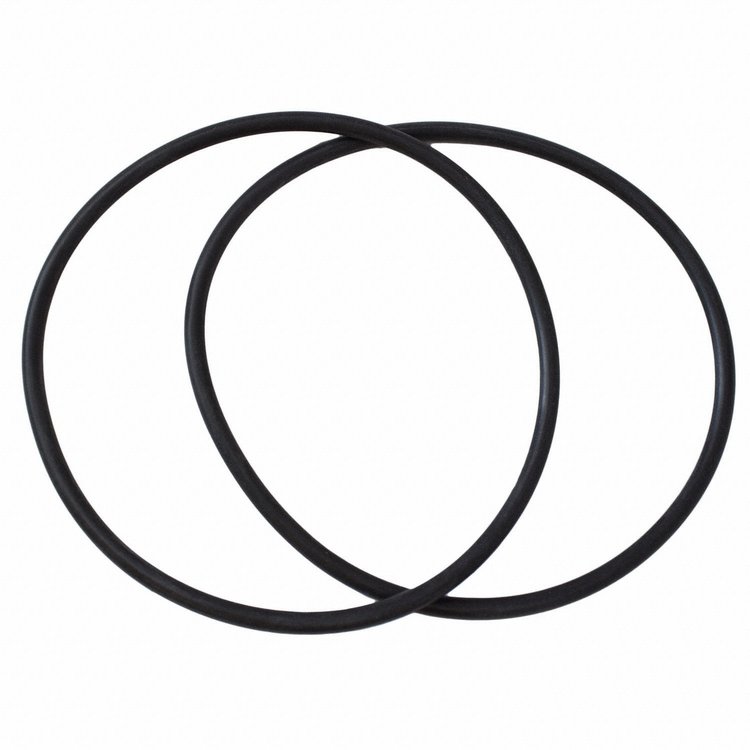 SEAL (P)