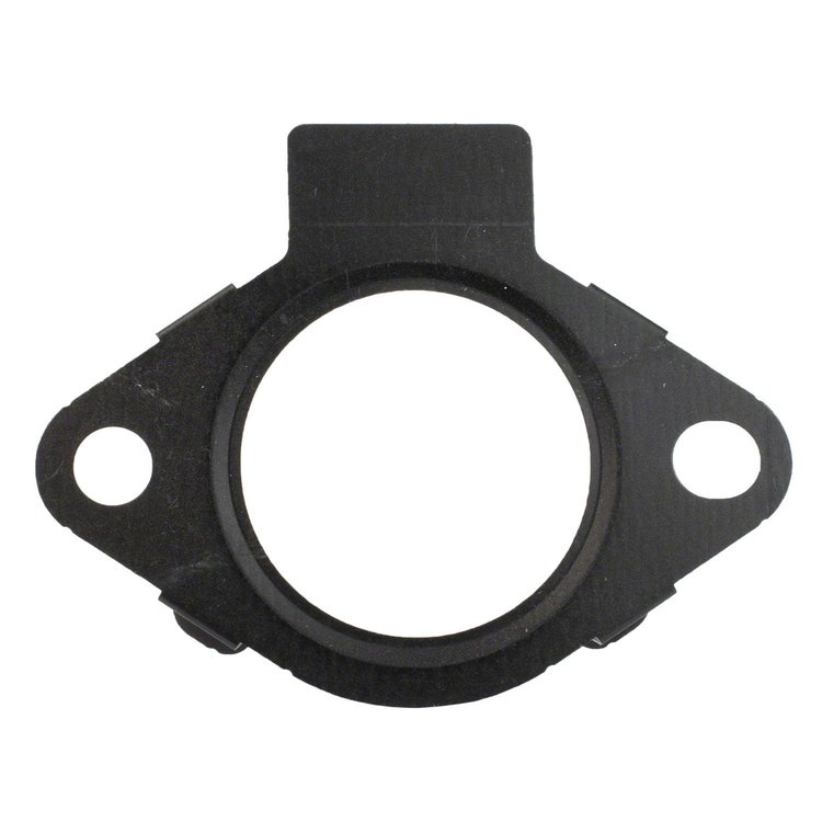 GASKET (P)