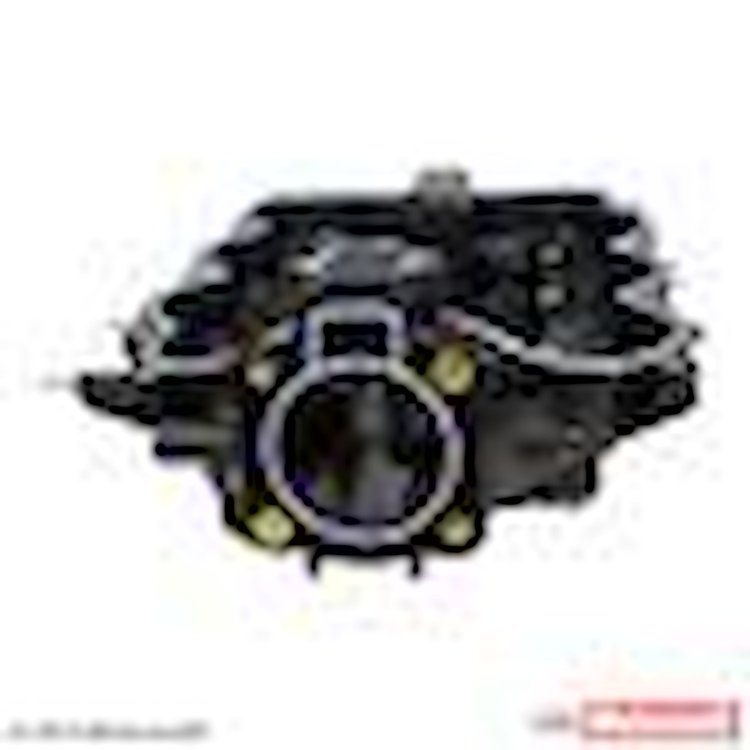 SPACER - THROTTLE BODY