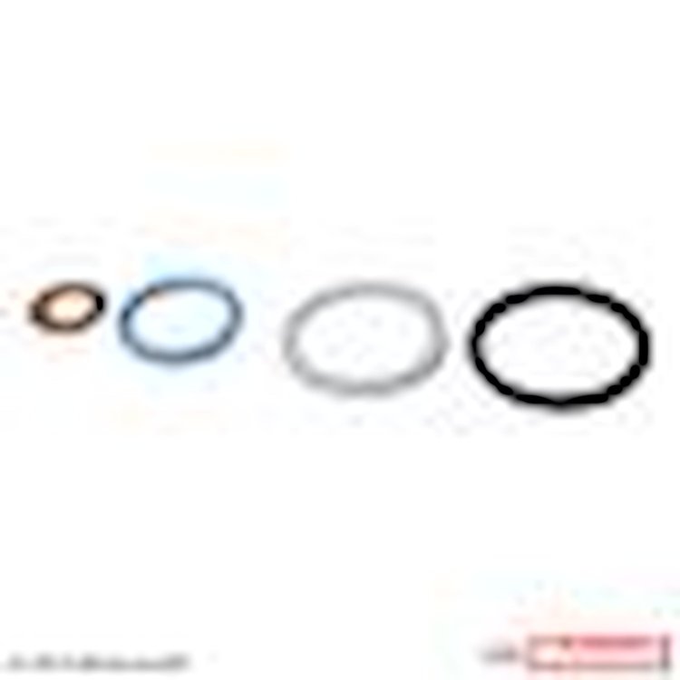 KIT - O RING