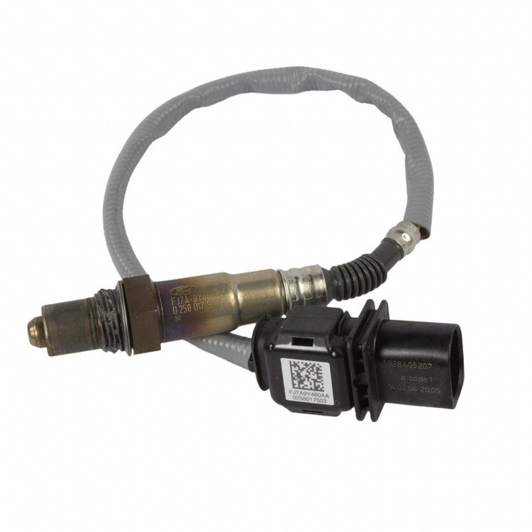 SENSOR - HEGO (P)