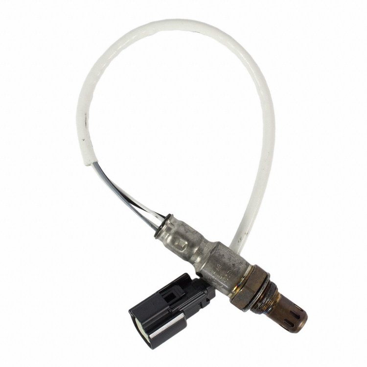 SENSOR - OXYGEN (P)