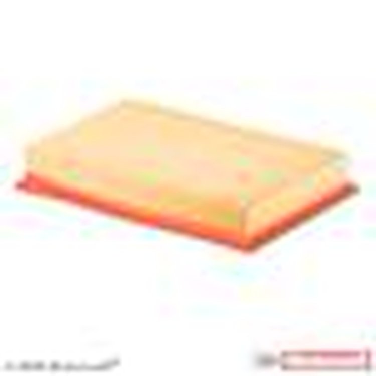 ELEMENT ASY - AIR CLEANER