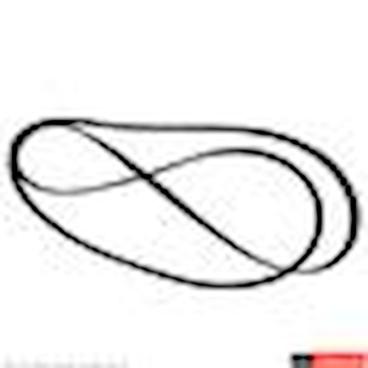V/BELT