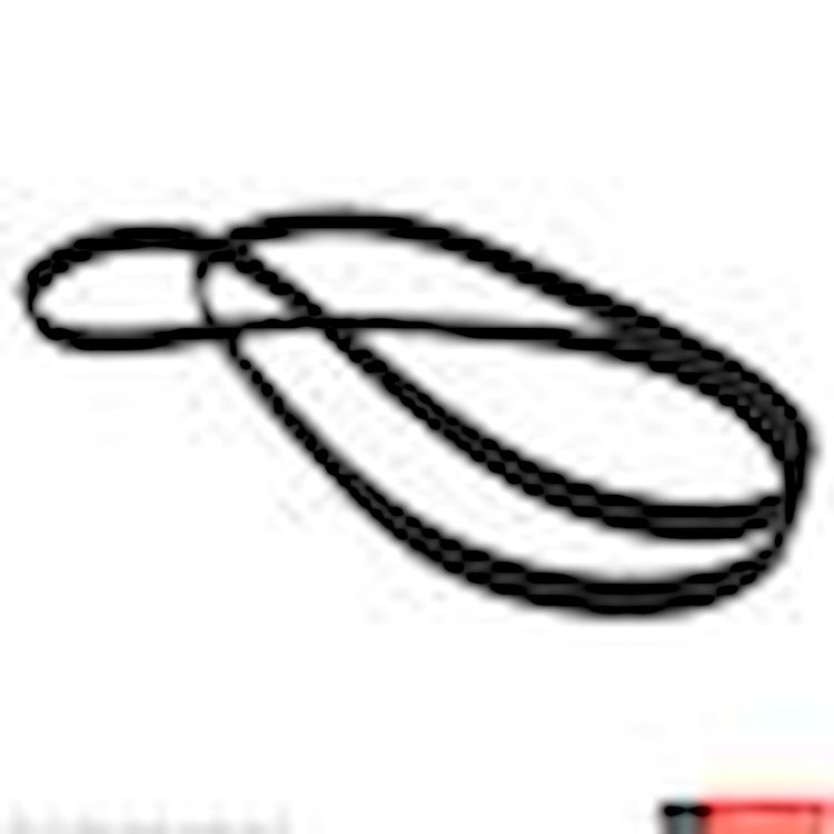 V/BELT