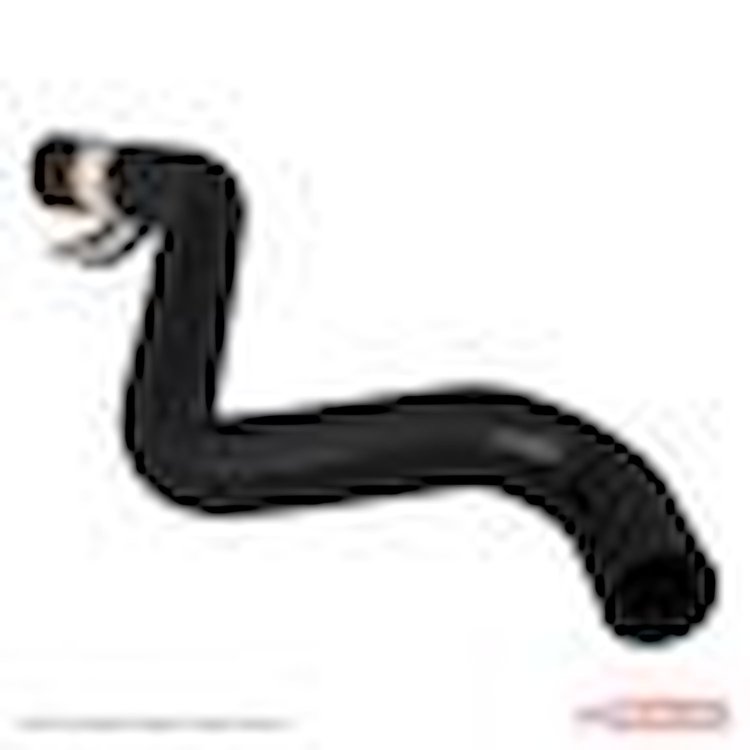 HOSE - RADIATOR