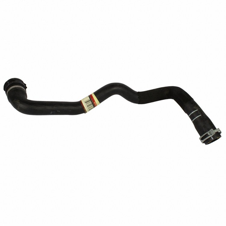 HOSE - RADIATOR (P)
