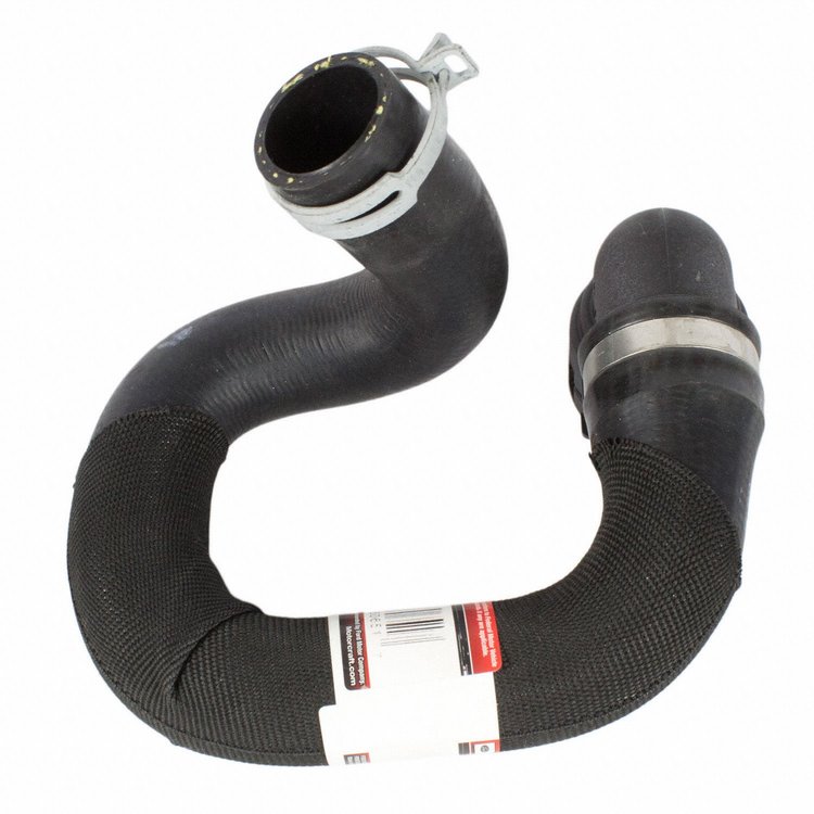 HOSE - RADIATOR (P)