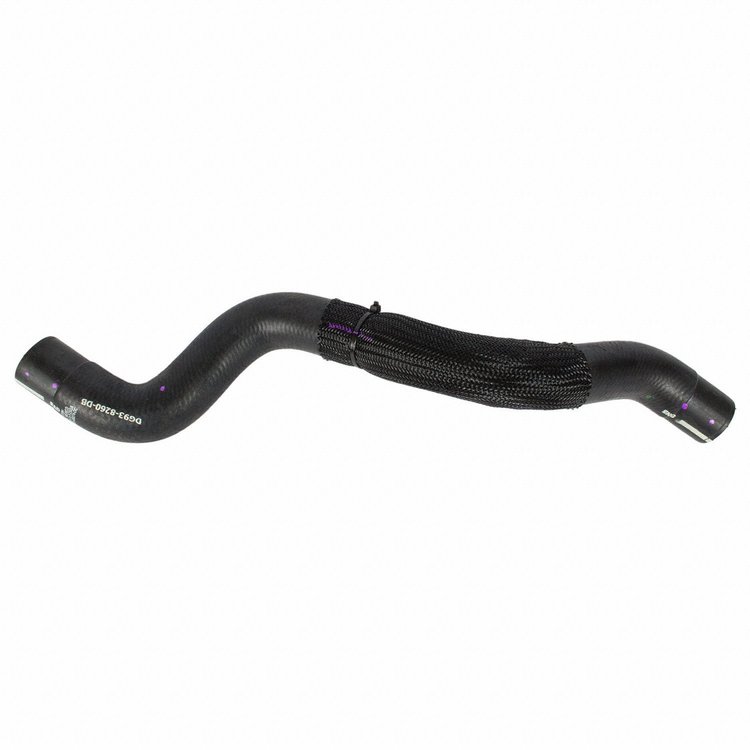 HOSE - RADIATOR (P)