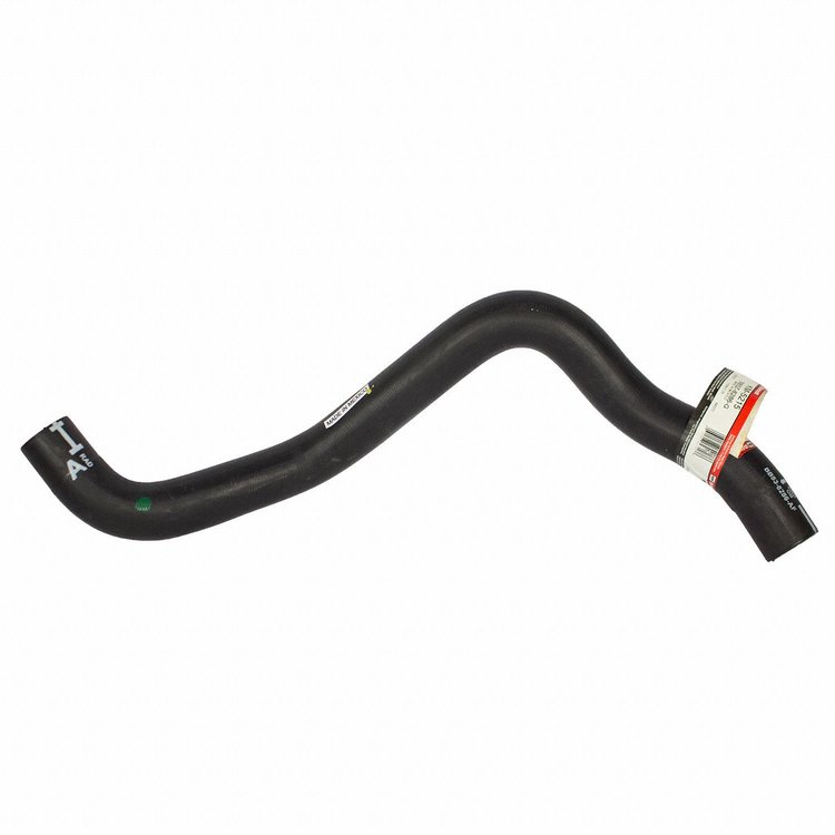 HOSE - RADIATOR (P)