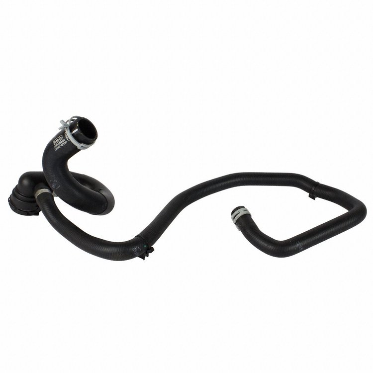 HOSE - RADIATOR (P)