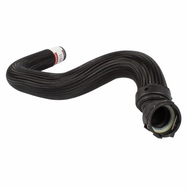 HOSE - RADIATOR (P)
