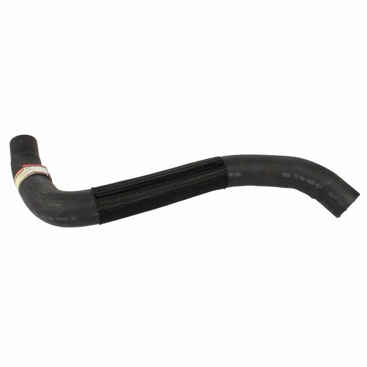 HOSE - RADIATOR (P)