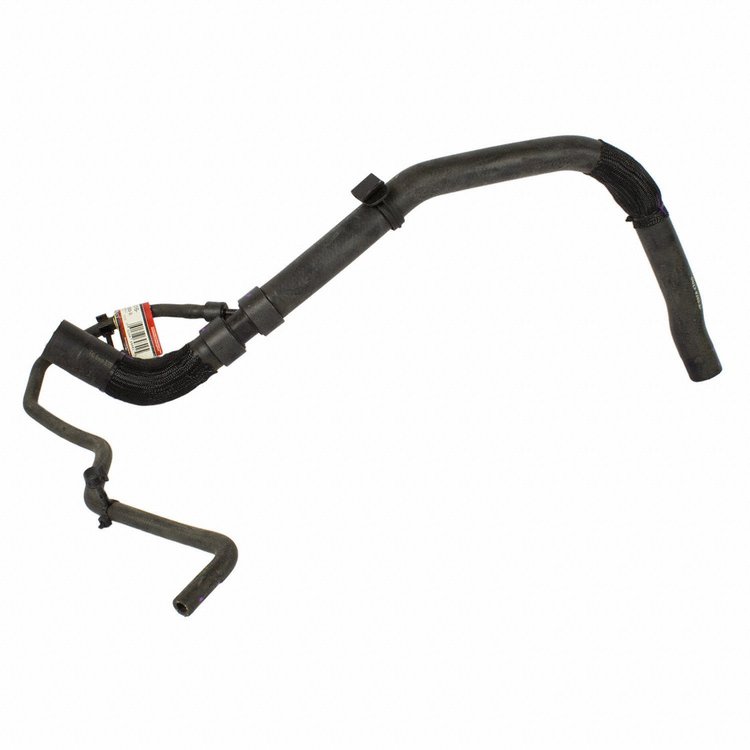 HOSE - RADIATOR (P)