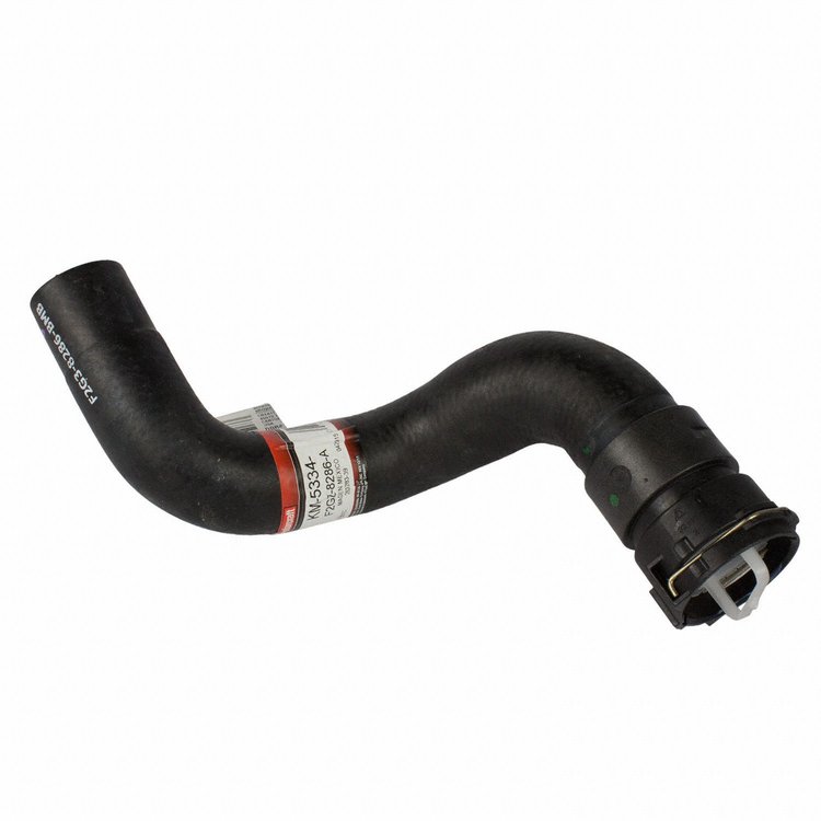 HOSE - RADIATOR (P)